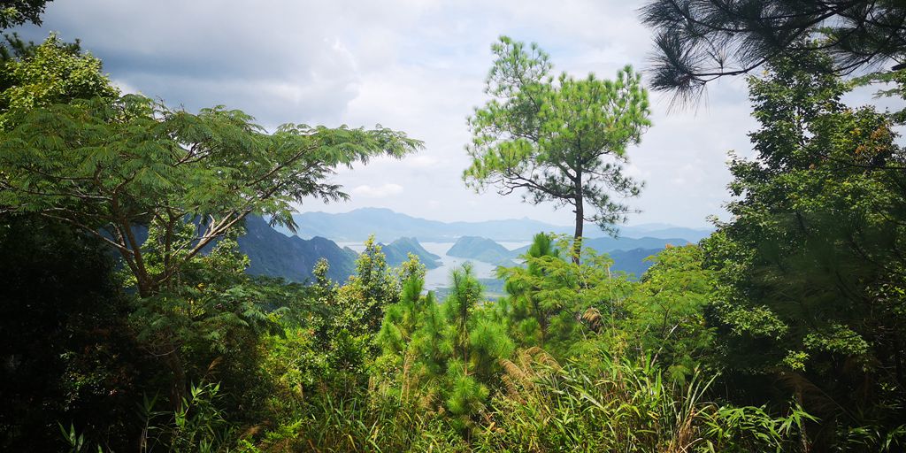 Inside The Mountains Of West Hainan