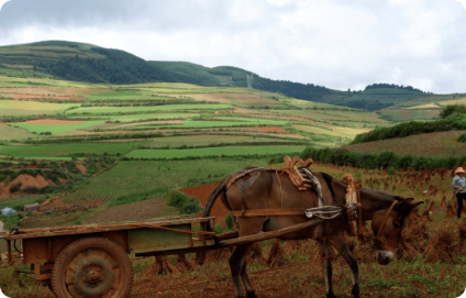 Sustainable Tours