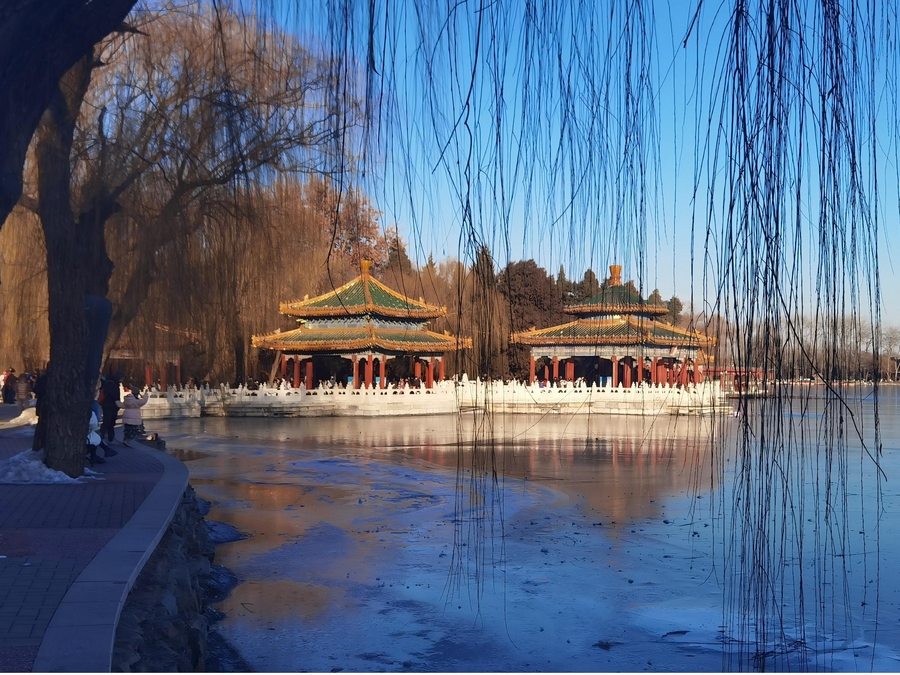 Xi Jinping  Announces China’s New National Climate Commitments​