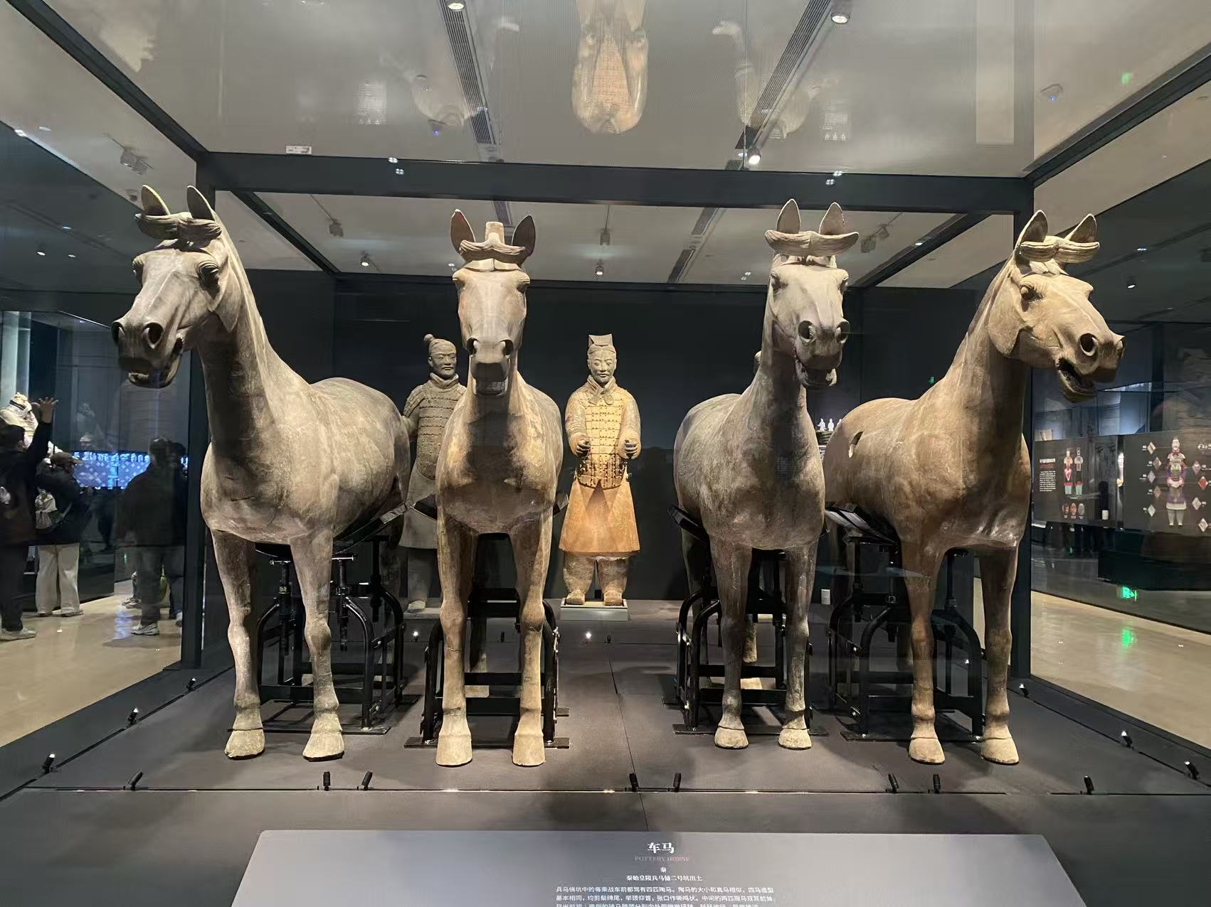 A December Journey: Exploring Xi'an's Timeless Charms