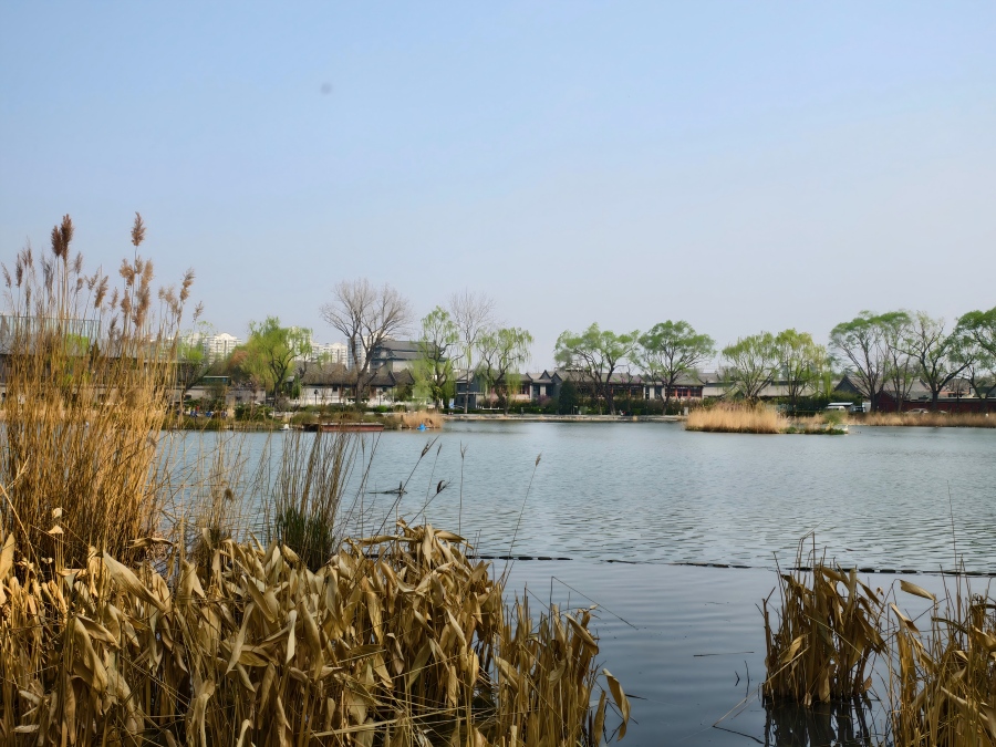 A Peaceful Walk Around Xihai Lake in Busy Beijing